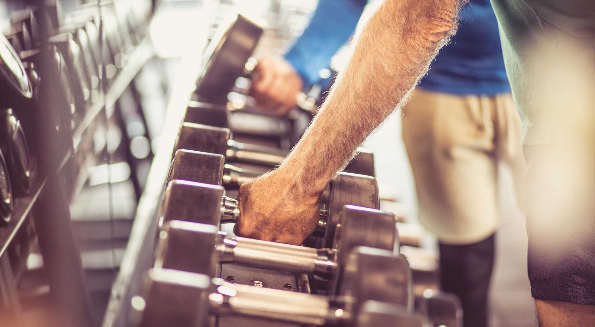 Hammer Curls vs. Bicep Curls What Is The Best Way To Build Biceps